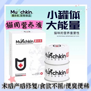 Manchken cats use nutrient solution to enhance full-stage hydration nutrient solution to enhance physical fitness and reduce stress response