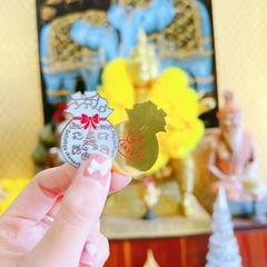 Thailand Buddha amulet wholesale, Phra Soban, gold and silver money bag, phone accessories