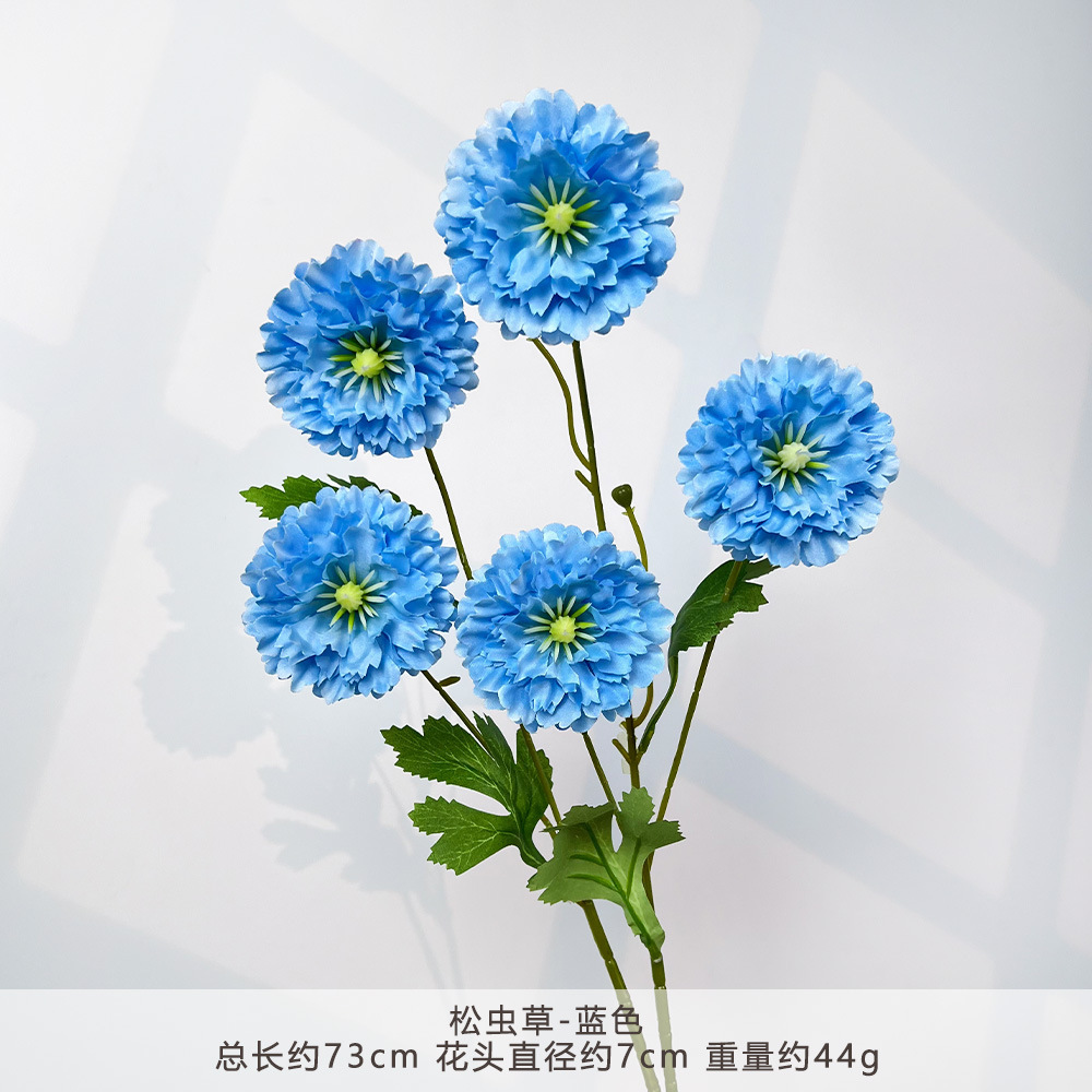 MJ-松虫草-蓝色