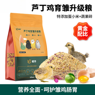 �J���u���u�_�ڼZ������r���Ì���С�uɳ�S�g���R��ʳ��Zʳ�u�Z