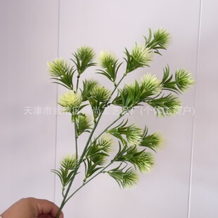 ɭϵ�Gɫϵ�G�~����Gֲ���滨���~�ȼ������~���~�����Rβ�ݲ�˹