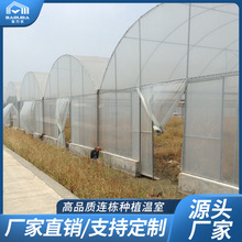 农业大棚镀锌钢管骨架 大棚配件连栋大棚来图施工 薄膜联栋大棚