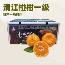 ���ں����L��彭����ƺ�ո�һ����45ö����(11-12��)