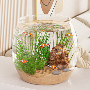 Round Acrylic Small Shatterproof Landscaping Ecological Tank Imitation Glass Living Room Home High-Definition Small Fish Turtle Fish Tank