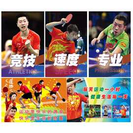 体育明星樊振东张继科图片乒乓球协会展板文化宣传运动不干胶贴纸