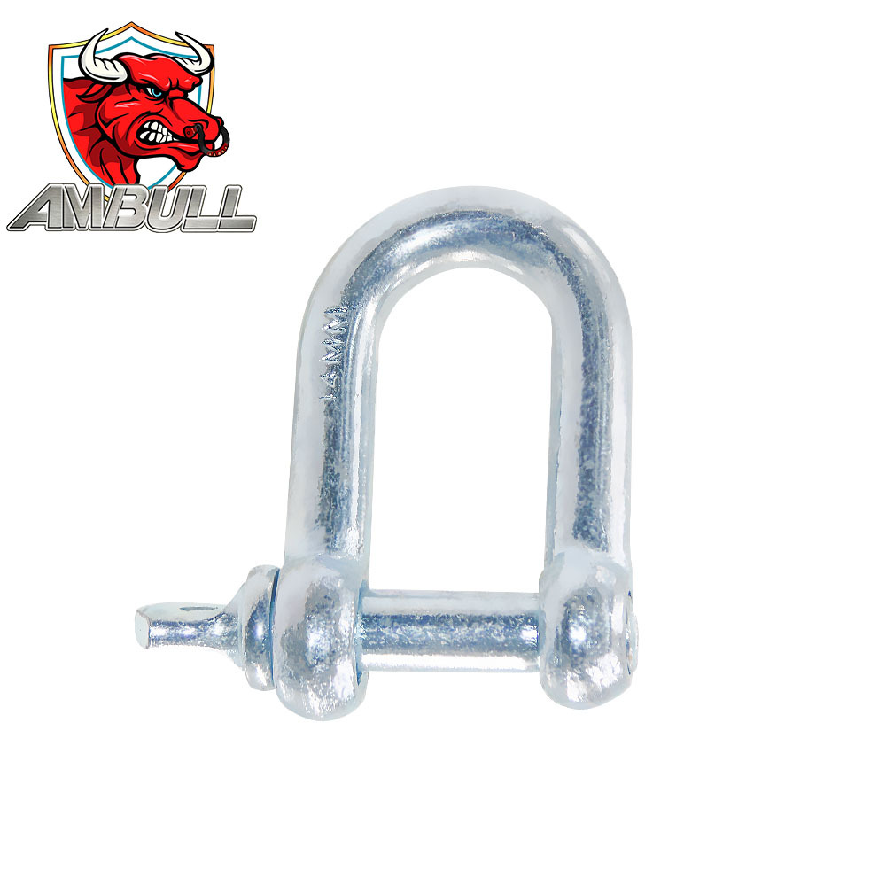 长期供应 欧式卸扣D型钢丝绳锁链条挂钩 拖车钩 量大优惠