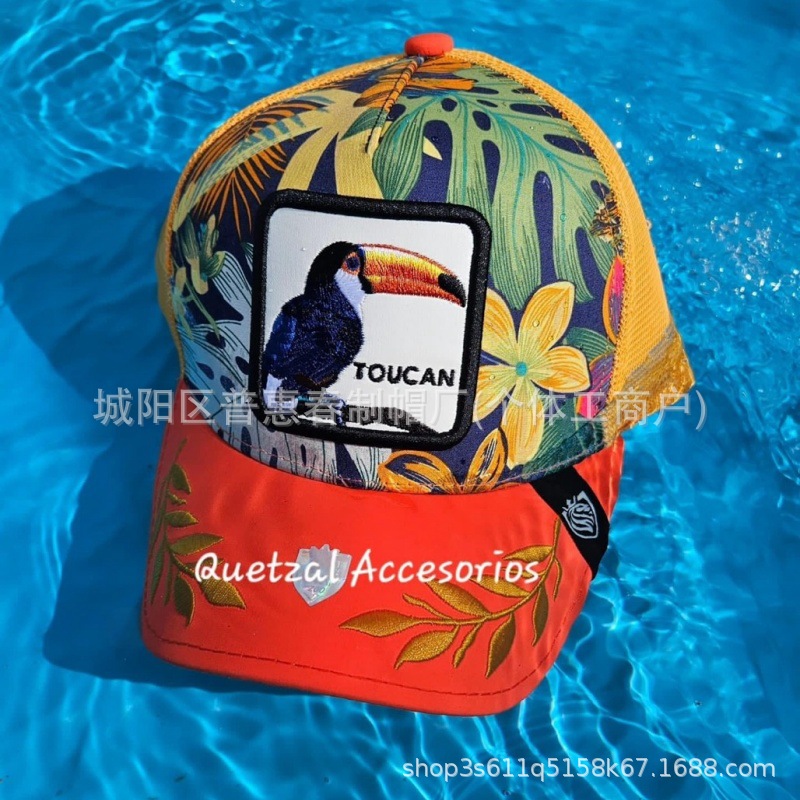 오렌지 큰부리새