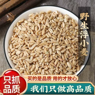 正宗浮小麦500g中药材甘麦大枣汤多汗自汗可搭大枣甘草浮麦止汗茶