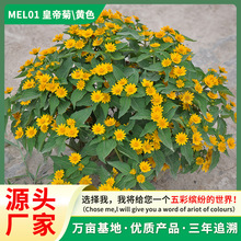 ʵ۾շNļN׻̨҃ͥԺݷNѾջܷN