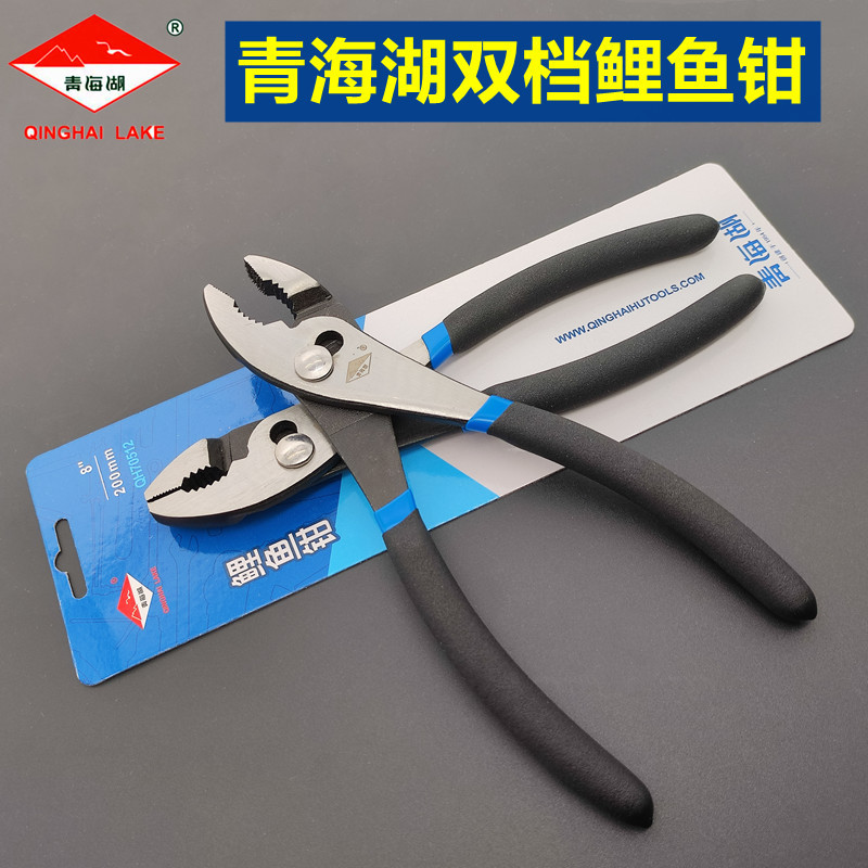 IMG_20230329_203803_副本