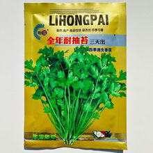 四季香菜种子阳台室内花卉花盆栽香菜蔬菜种子四季高产易种香菜籽