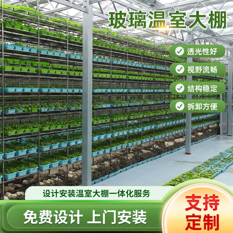 Теплица каркас теплицы интеллектуальное стекло теплицы сельское хозяйство цветы рассада фруктов и овощей солнечное дерево, чтобы избежать теплицы