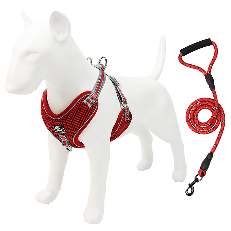 犬用リード、ハーネス、犬用ロープ、ペット用中小型犬用テディベスト型首輪、子犬用犬用散歩チェーン|undefined