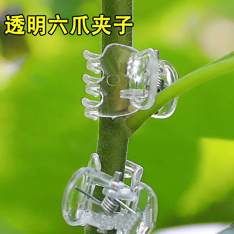 蝴蝶兰专用夹固定夹嫁接夹园林夹植物夹藤蔓夹绑藤夹果蔬菜