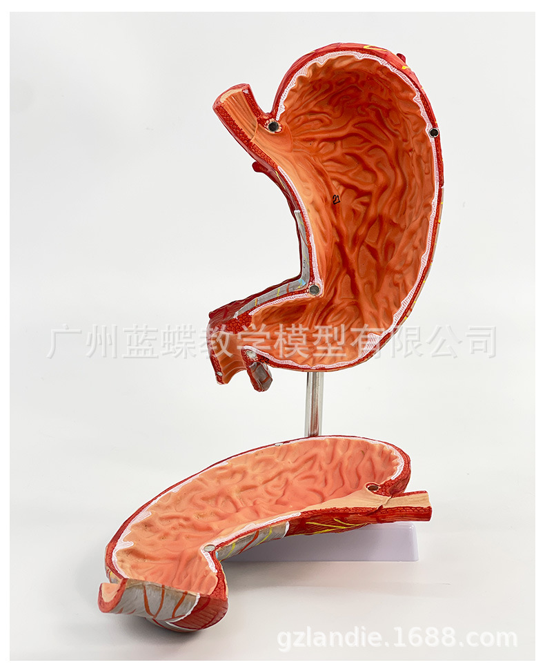 详情_12