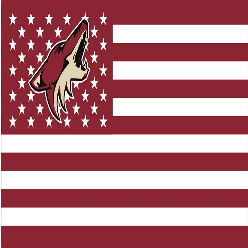 Флаг Columbus Blue Jackets Национальная хоккейная лига Columbus Blue Jackets