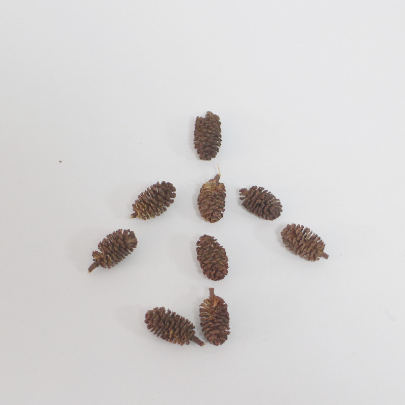 Mini Pine Cones, Natural Small Pine Cones, Pine Flowers, Painting and Photography Props, Handmade Decorative Accessories, Christmas Decorations