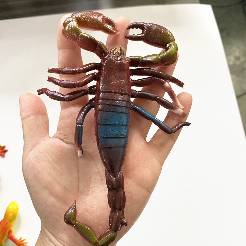 IMG_1018(20210521-112624)