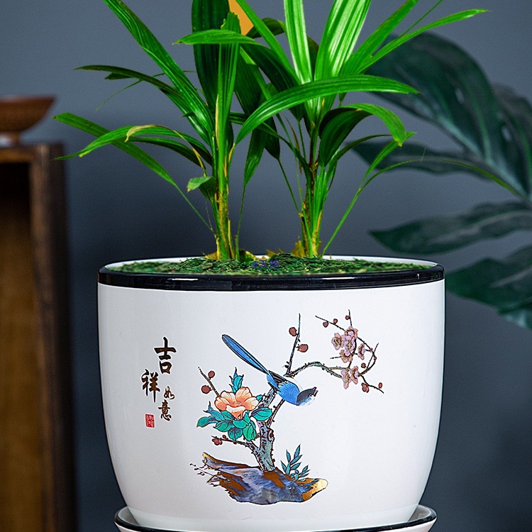 陶瓷花盆带托盘创意个性绿萝蝴蝶兰透气花盆