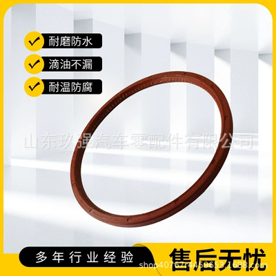 Oil seal rear hub