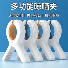 多功能无痕防风夹户外晒被单晾衣服防滑防风固定家用塑料夹