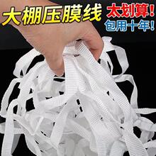 ��Ĥ�����Ҵ��￹�ϻ���Ĥ�K���K��ɫ��]�Ӻ������K�ӱ⎧�����K