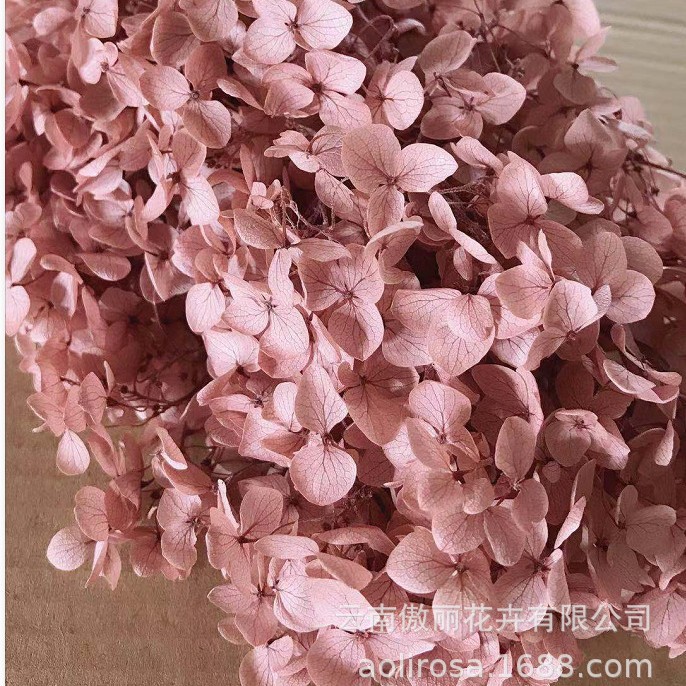 Grado A Anna Hortensia flor permanente flor seca Hortensia de hoja pequeña 20g Hortensia en caja fábrica al por mayor MATERIAL DE FLOR DE San Valentín