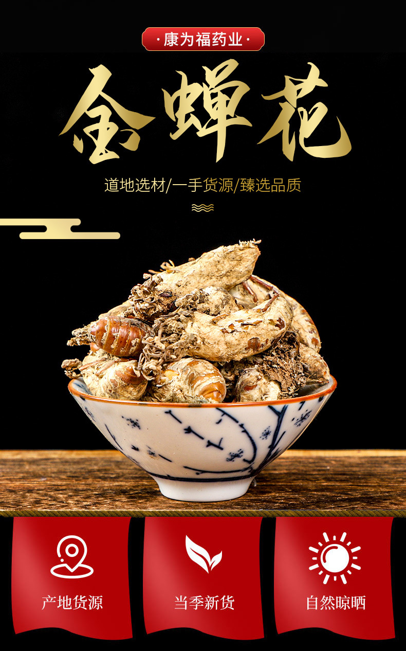 Jin Chan Hua (Cordyceps cicadae) — Dried Cicada Flower Fungus, Food Herb for Soups & Teas overview