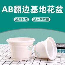 �A��߅���蹤�S�������ϻ���Gֲ�G�}����M���s����