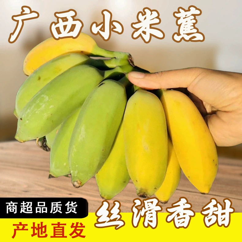 Бананы из Гуанси Сяоцзи, фруктовые бананы, розовые бананы, сезонные клейкие бананы, свежесобранные, мягкие, клейкие, ароматные, естественно созревшие.