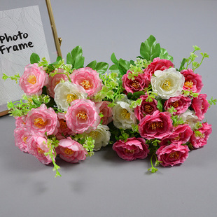 ����7�^��õ�ѻ�õ��ɽ��ѻ���@�Ƶ��ܛ�b�[�O������õ�ѻ�