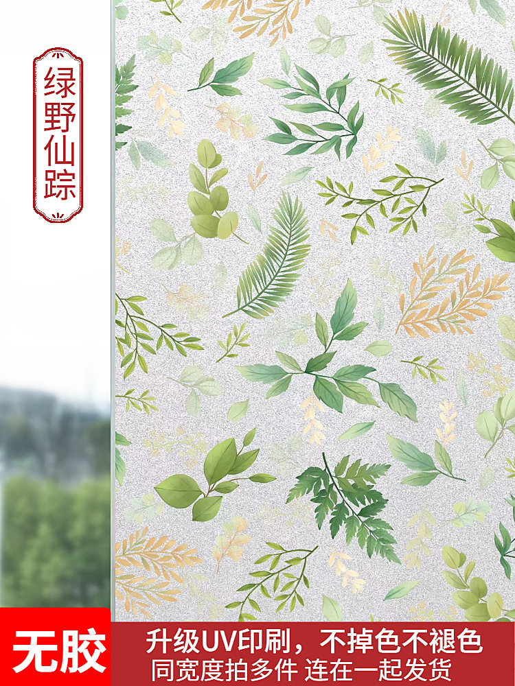 접착제가 필요 없는 복합 다층 두꺼운 - 오즈의 마법사 [신비로운 색상으로 가득 찬 비밀 왕국]