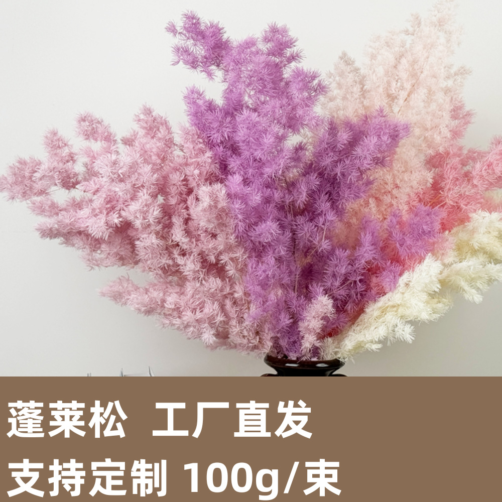 Pino Penglai flor eterna Navidad Pino preservado flor seca ramo Yunnan flor decoración del hogar Accesorios de tiro