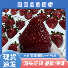 ����S���\����t�����ݮ�������ձ�������ڲ�ݮ���rˮ���Y���b