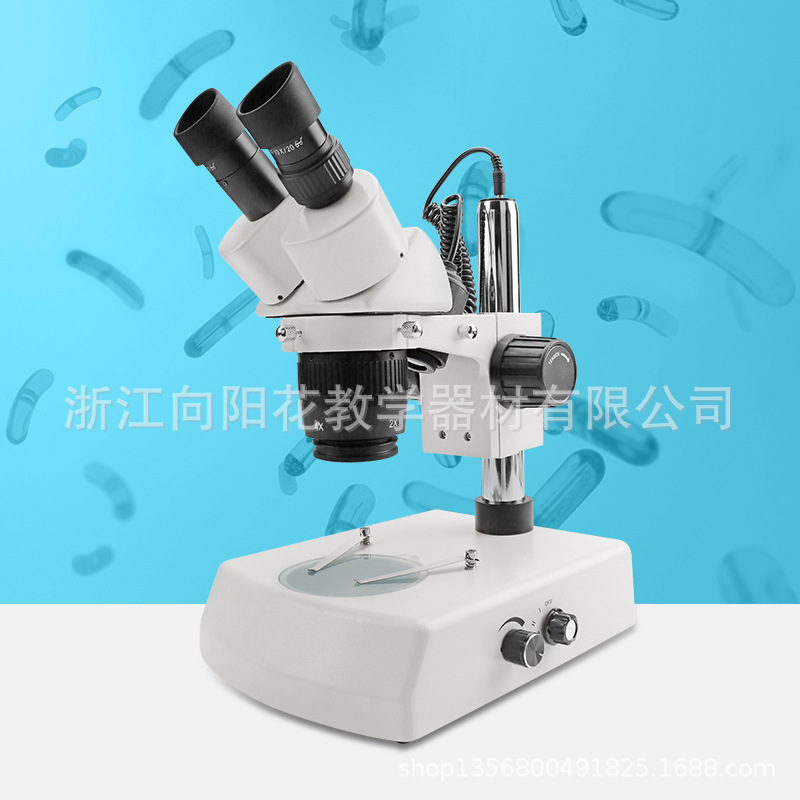 厂家直销ST-60-2L 双目斜筒上下光源体视显微镜 工业显微镜