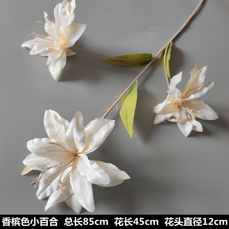 シャンパン色の結婚式の花の花の花の材料の結婚祝いの装飾の花の講堂の装飾の花のプラスチックの花の道は花の造花を導いています。|undefined