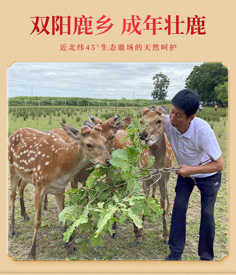 详情_02
