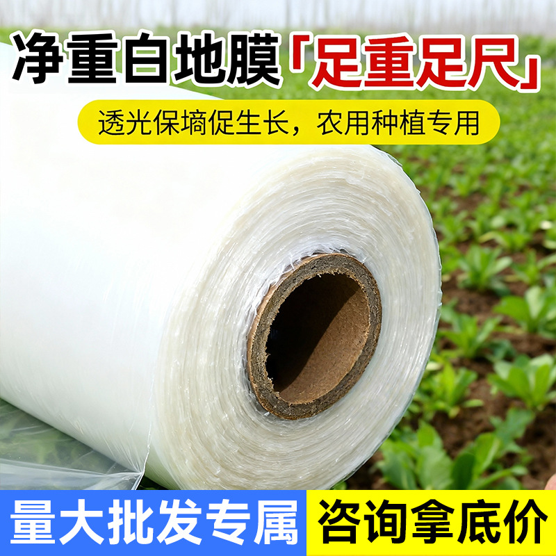 Película de plástico agrícola de plántulas de plántulas de plástico PE perforación de aislamiento térmico espesado película plástica transparente anticongelante película de plástico blanco