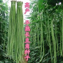 �G�ڶ��ǷN���L���ǷN�������Ѵ����＾�����߲˷N����