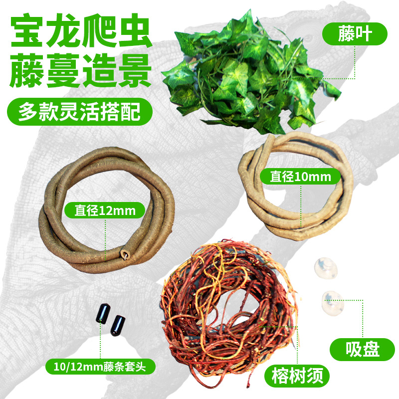 宝龙爬虫藤蔓造景主图方.jpg