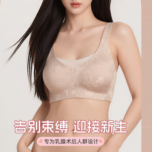 ���L�Ứ���������g�������ر���͸����´����z�����x�����