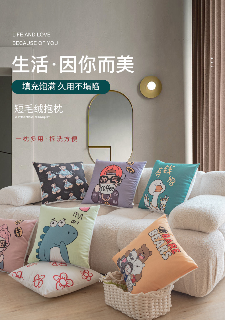 短毛绒抱枕_01.jpg
