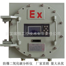 RHCO2-301防爆常量二氧化碳分析仪厂家/红外传感器高炉煤气检测