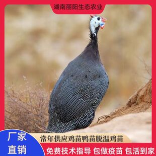 ���������u�������F���u��G�����u�r��ɽ�ط��B���_���u�絰�u��