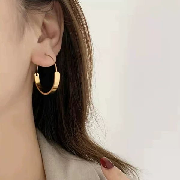 Internet Celebrity Elegant Ring Earrings Women's European and American Fashion High Sense INS Style Round Ear Ring Distinctive Simple Ear Jewelry