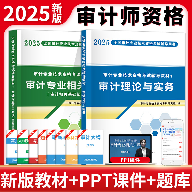 2025年审计师教材初级中级全2本审计理论与实务+审计专业相关知识