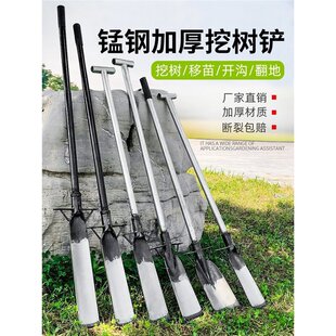 Special spade for digging trees Manganese steel shovel Luoyang shovel digging tree root pit bamboo shoot ditch hole seedling artifact hoe shovel tool