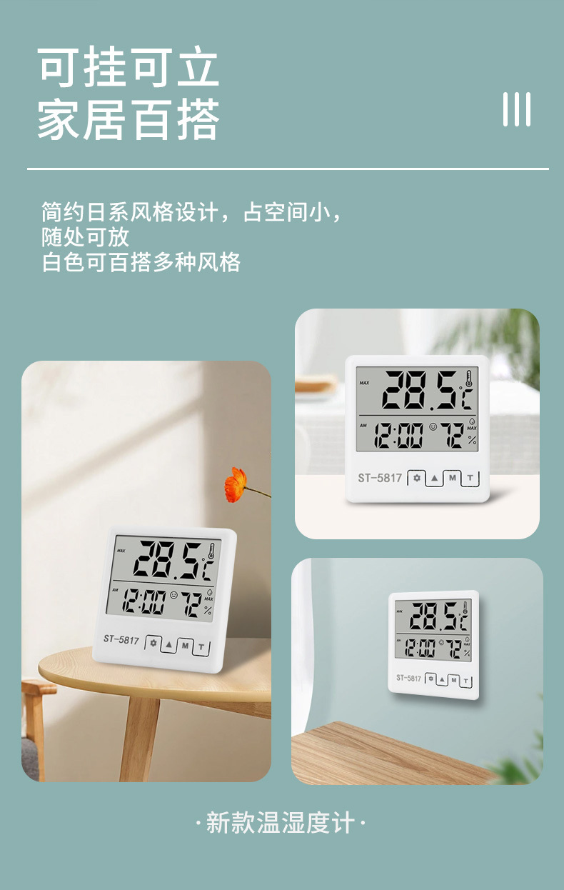 5817带型号温湿度计_01 (8)