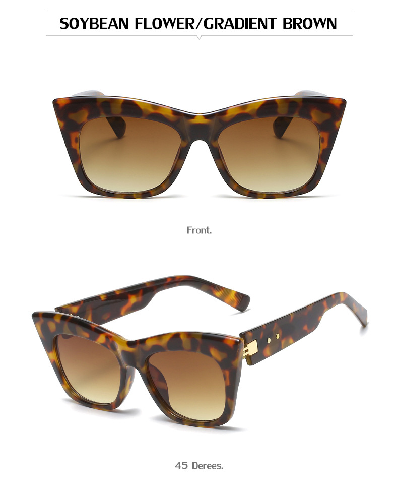 Frau Mode Geometrisch Katze Brille Sonnenbrille display picture 1