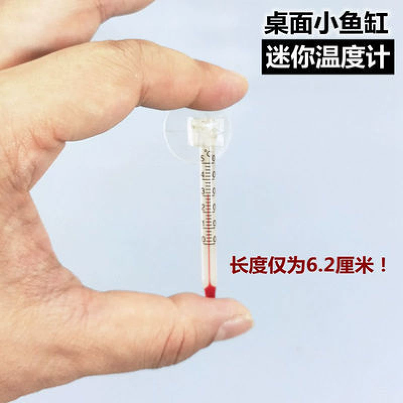 small glass aquarium, electronic thermometer, with LED display -> «Маленький стеклянный аквариум, электронный термометр, с LED-дисплеем»